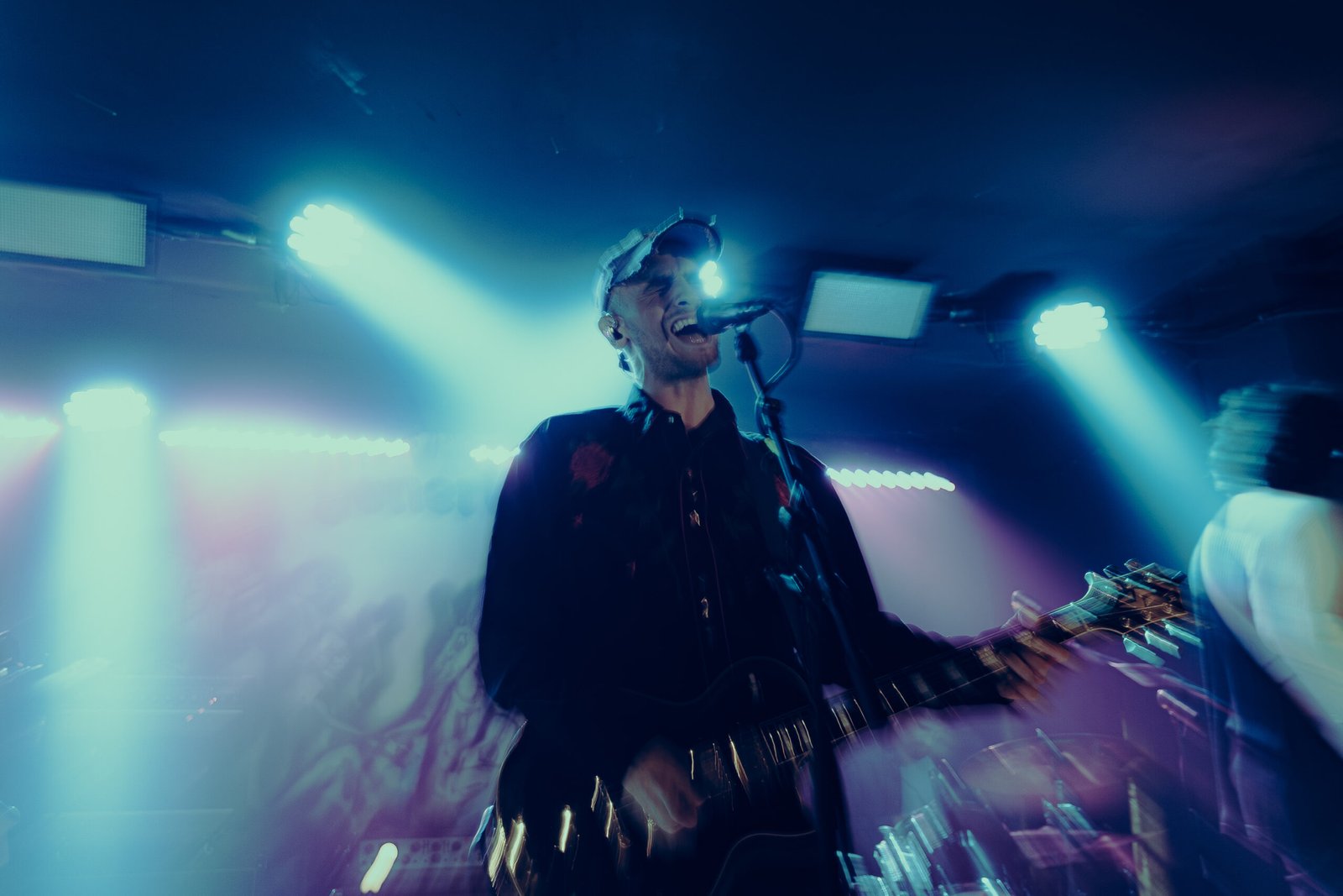 Generic Animal, Spazio211 – GALLERY FOTO