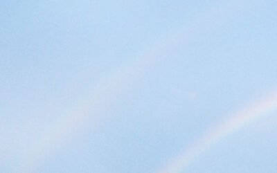 Never Enough: i Turnstile e la forma dell’hardcore che verrà