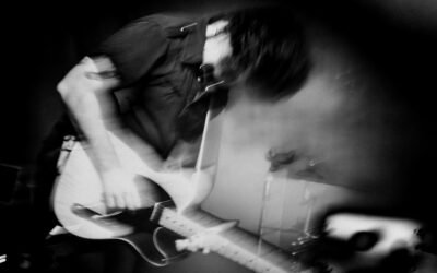 The Academic, Covo – GALLERY FOTO