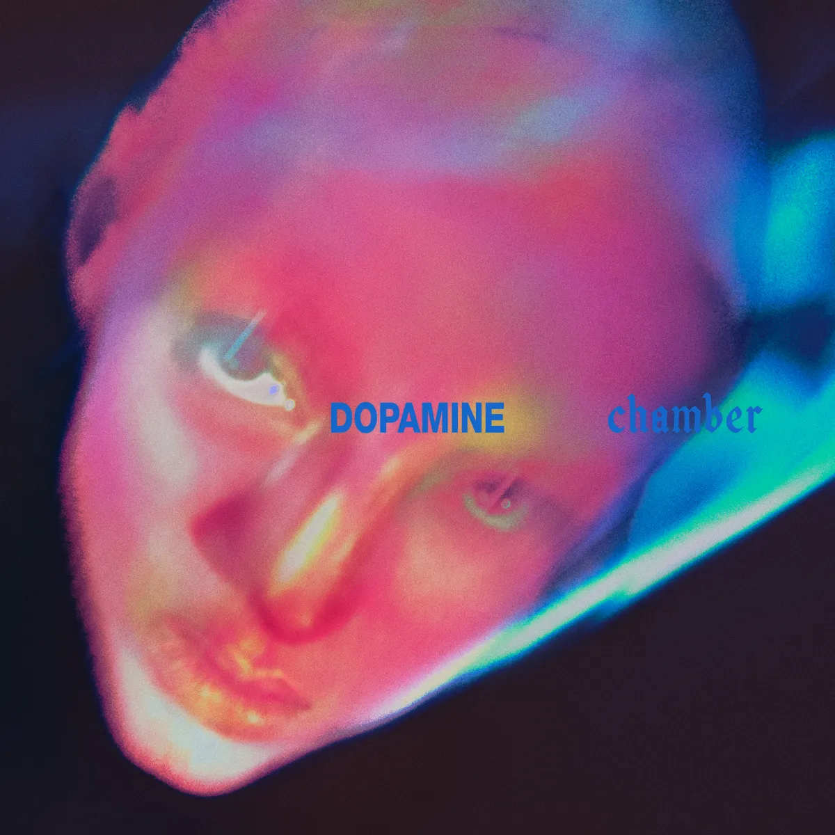 dopamine-chamber-fontaines-d-c-cover-ts1791533961